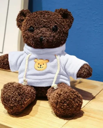 Stuffed Plush Bear
